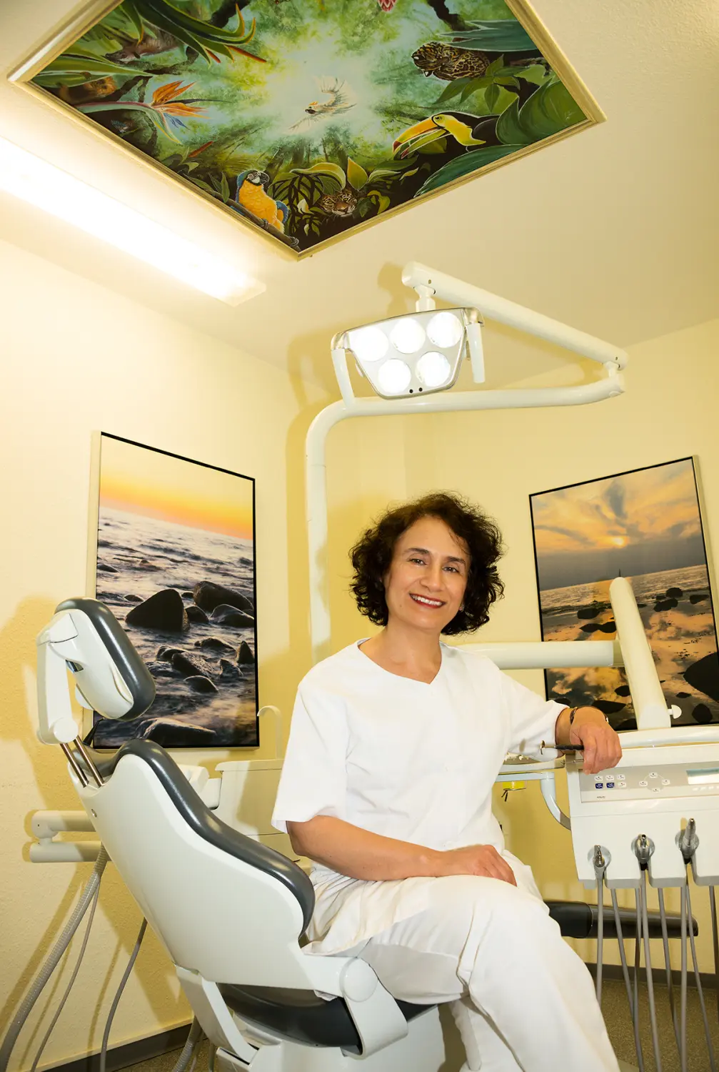 Zahnmedizin Funktion